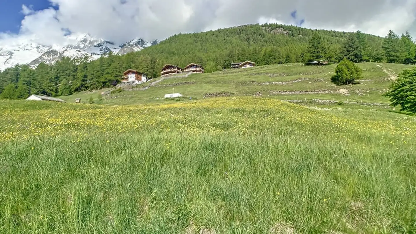 Constructible plot for sale - 3906 Saas-Fee - Photo 3