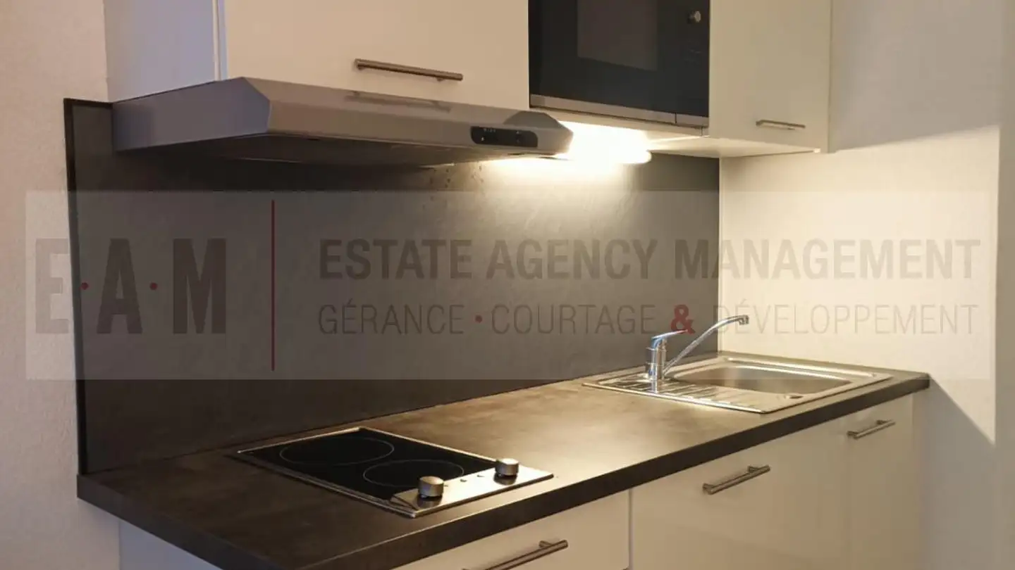 Apartment for rent - 1205 Genève - Photo 3