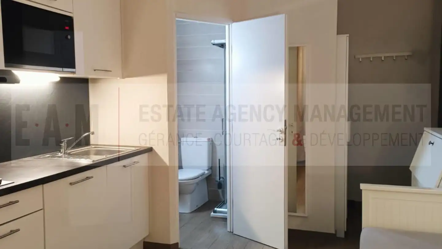 Apartment for rent - 1205 Genève - Photo 4