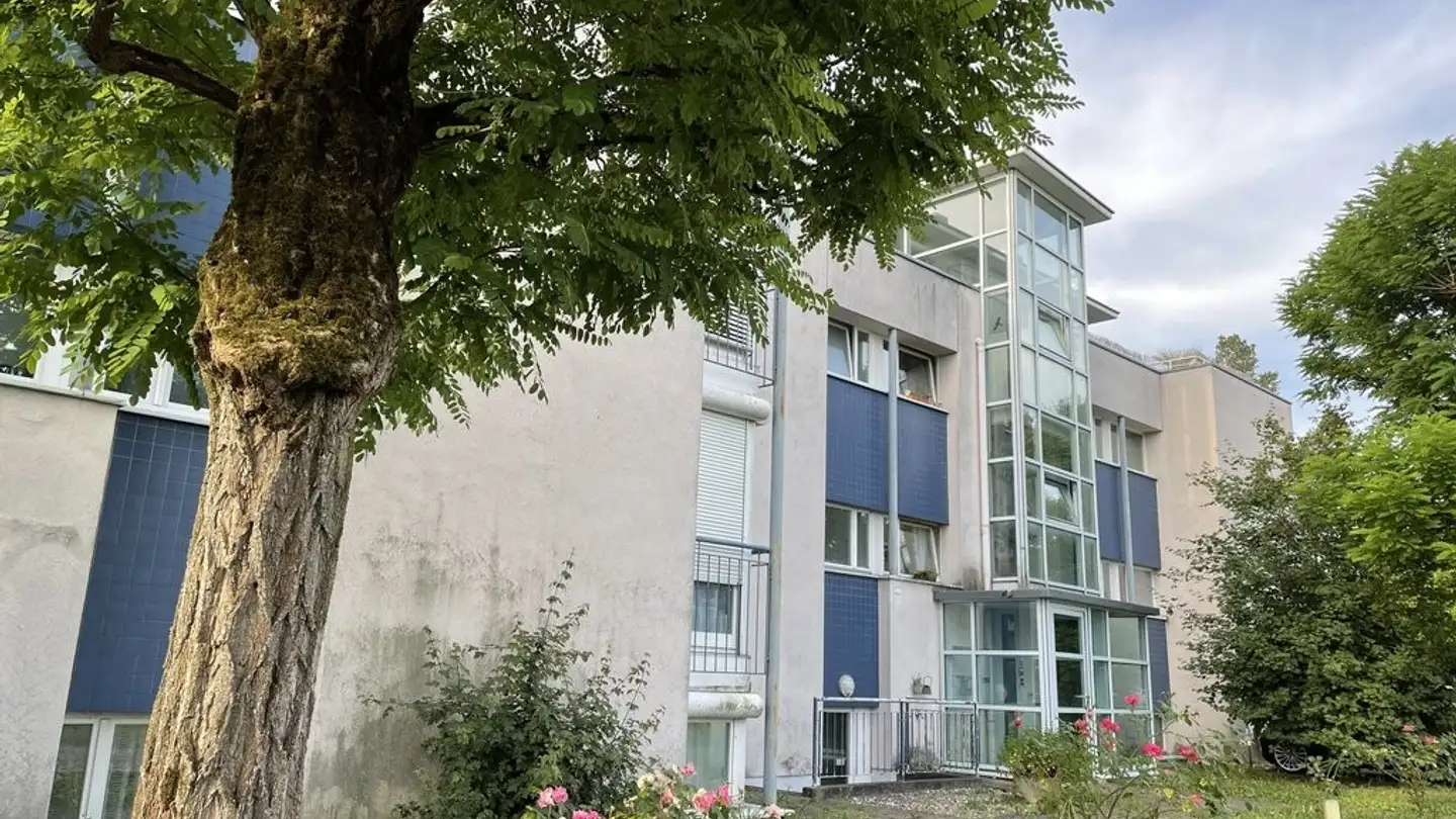 Gewerbe mieten - Steinrebenstrasse 108a, 4153 Reinach BL