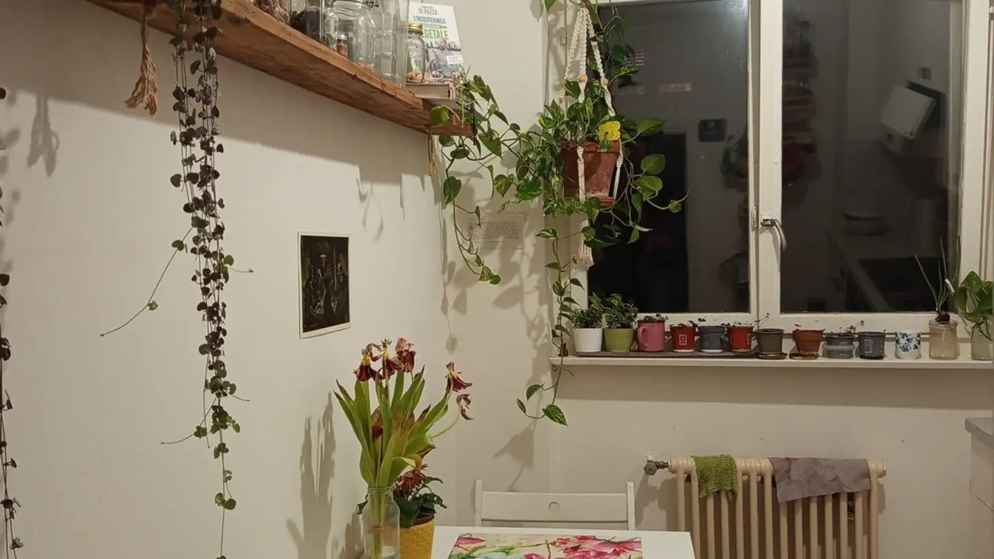 Single room for rent - Via San Martino 13, 6850 Mendrisio - Photo 4