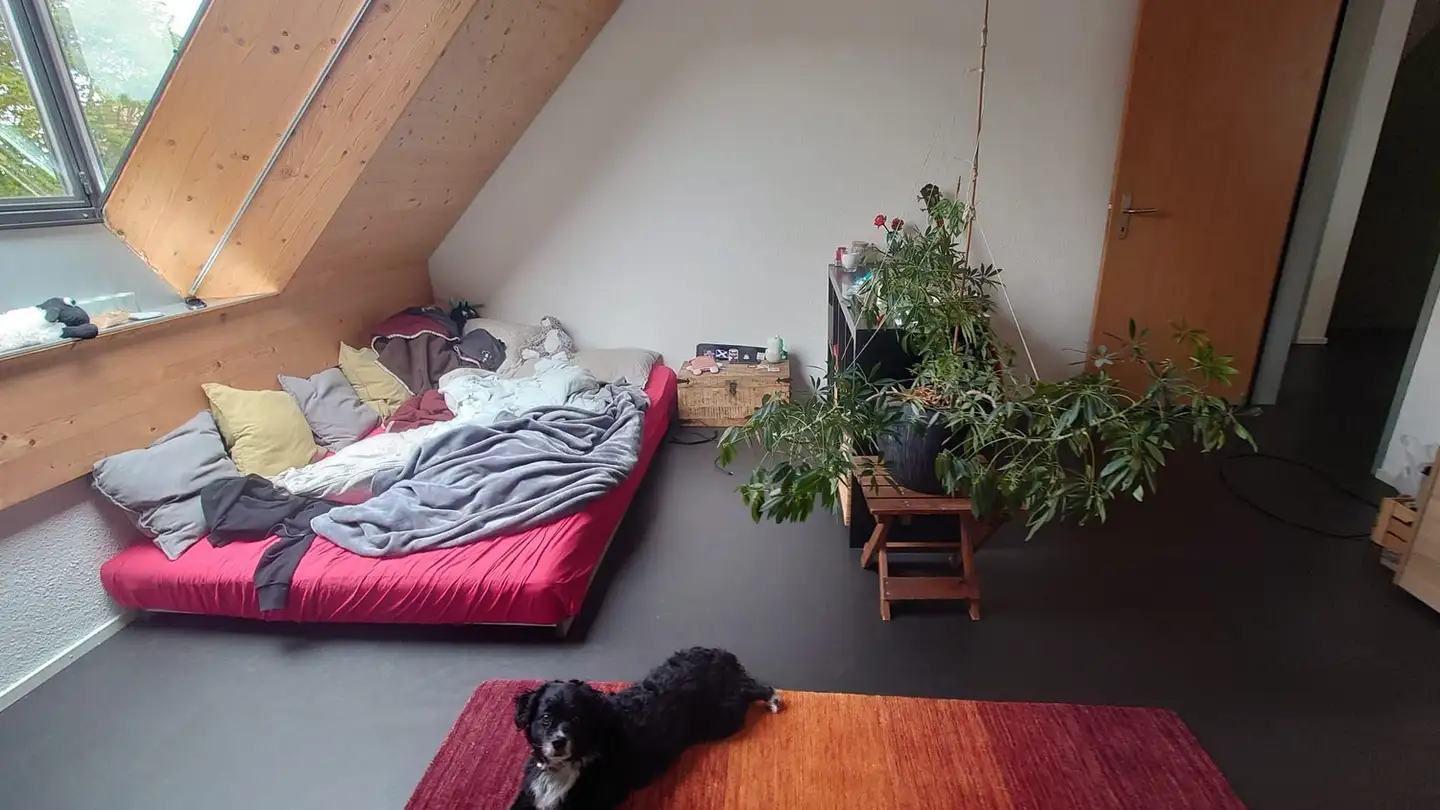 Zimmer mieten - Römerstrasse 227a, 8404 Winterthur - Foto 2