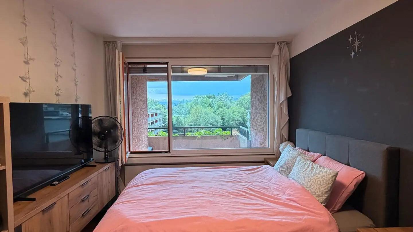 Single room for rent - Wannerstrasse 24, 8045 Zürich