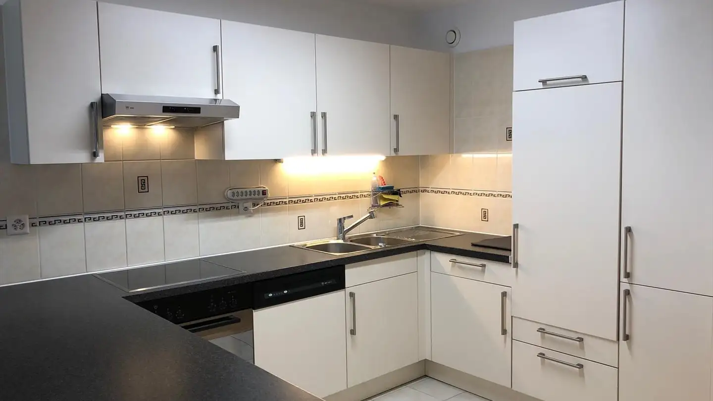 Appartamento in affitto - Chemin De-Maisonneuve, 1219 Châtelaine - Photo 2