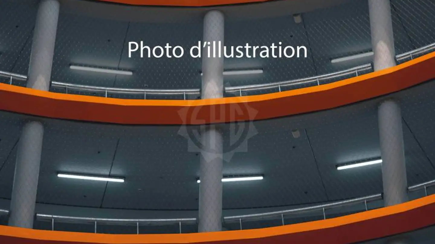 Single garage for rent - Rue Du Tir, 1204 Genève