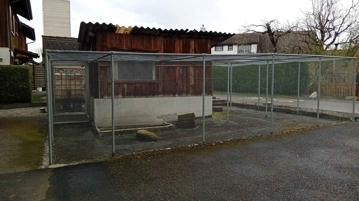 Casa singola in vendita - Alte Landstrasse 20, 8580 Hefenhofen - Foto 3