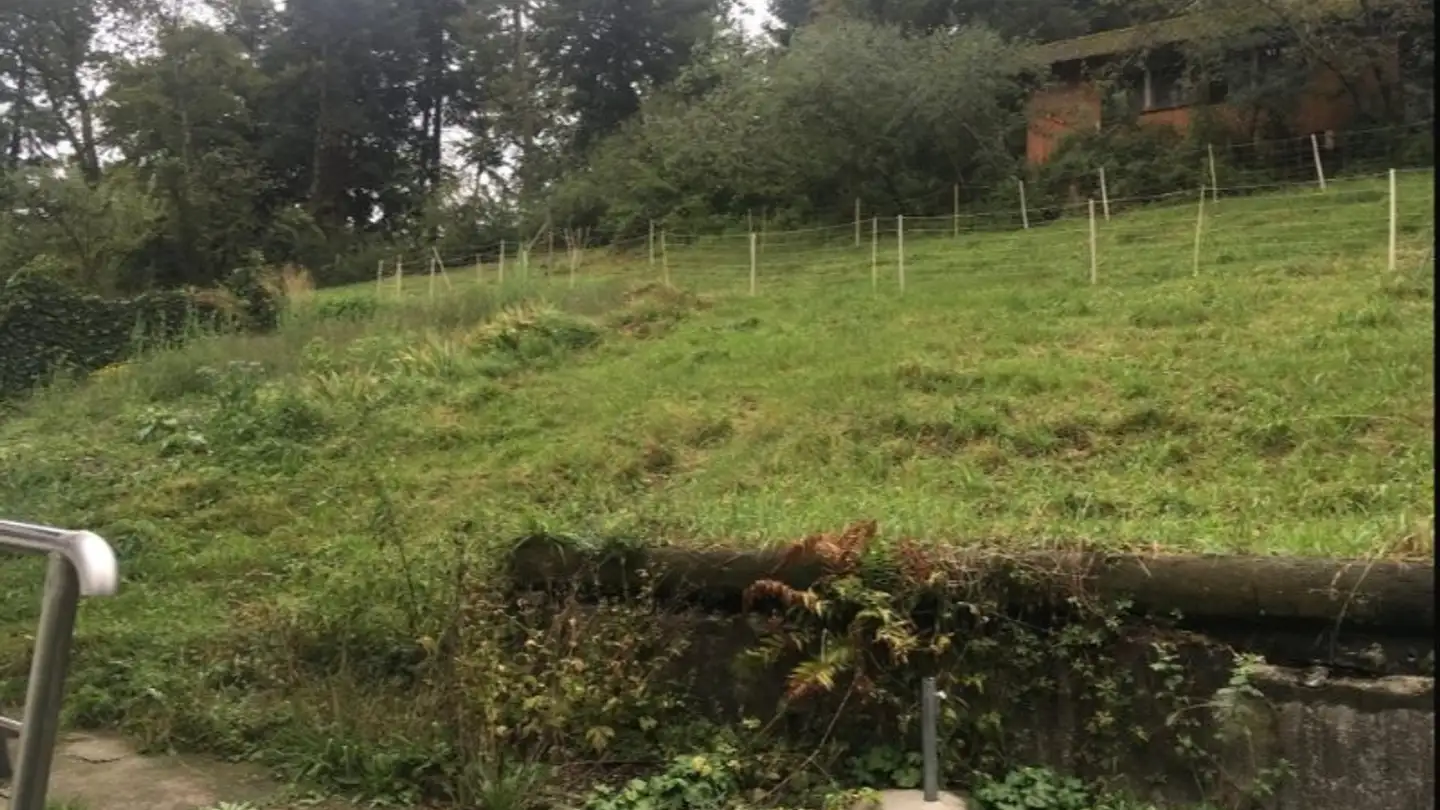 Wohnung mieten - Haslikehrweg 42, 3627 Heimberg - Foto 4