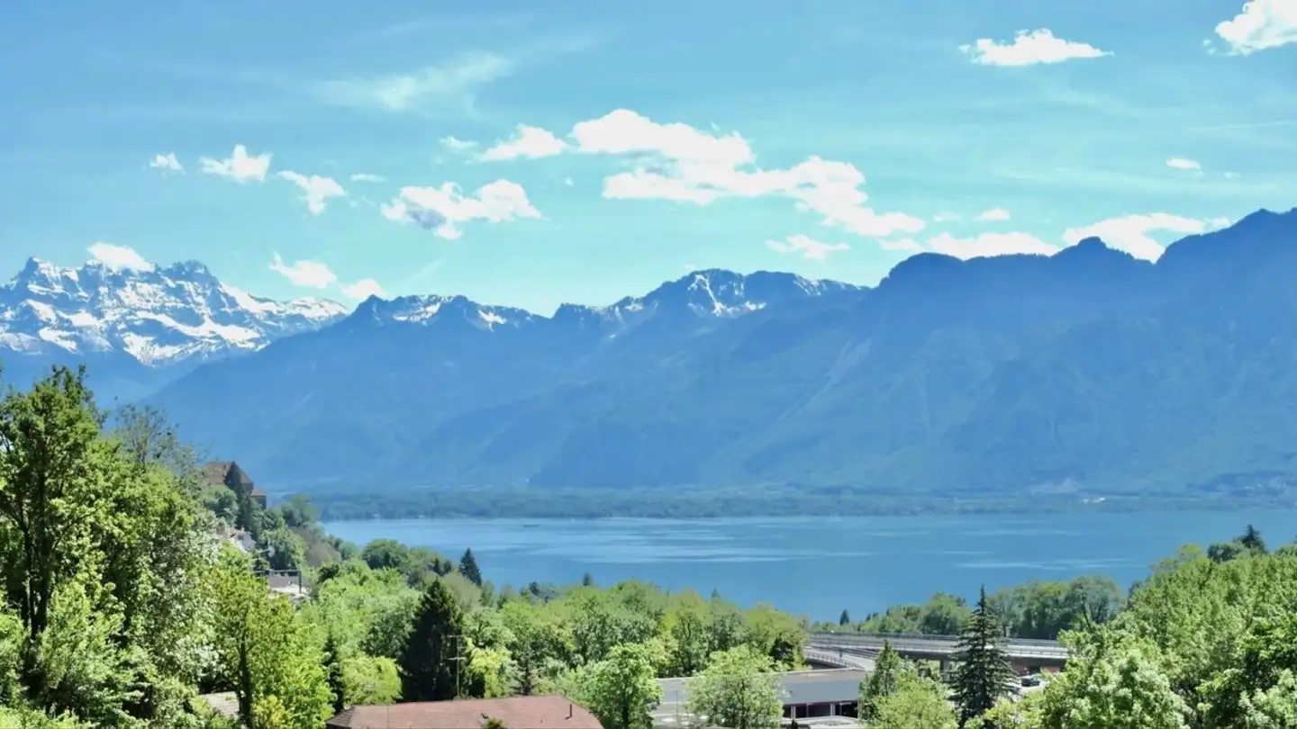 Single house for sale - 1816 Chailly-Montreux - Photo 2