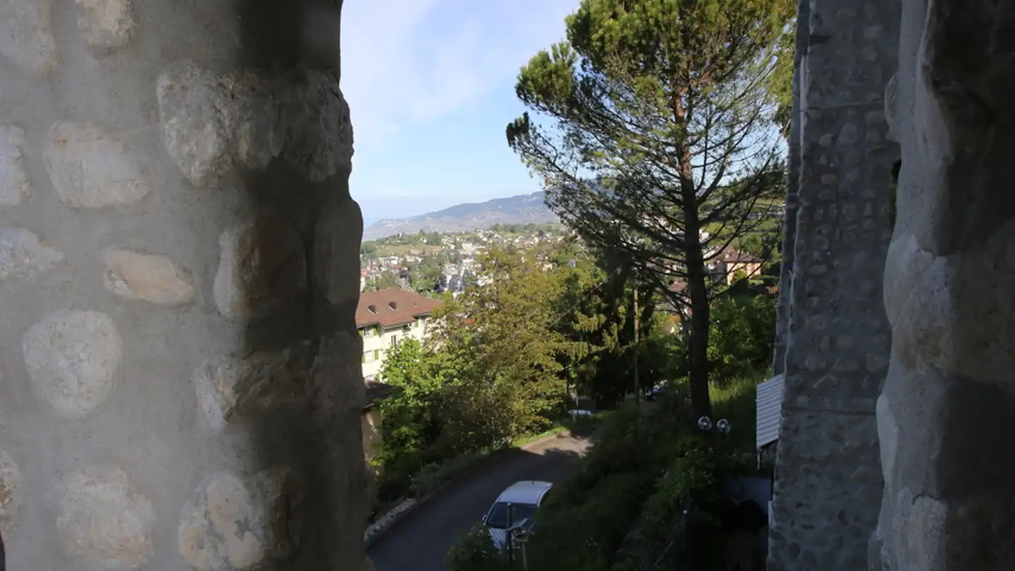 Appartamento in affitto - Route Des Vuarennes, 1820 Montreux - Foto 4