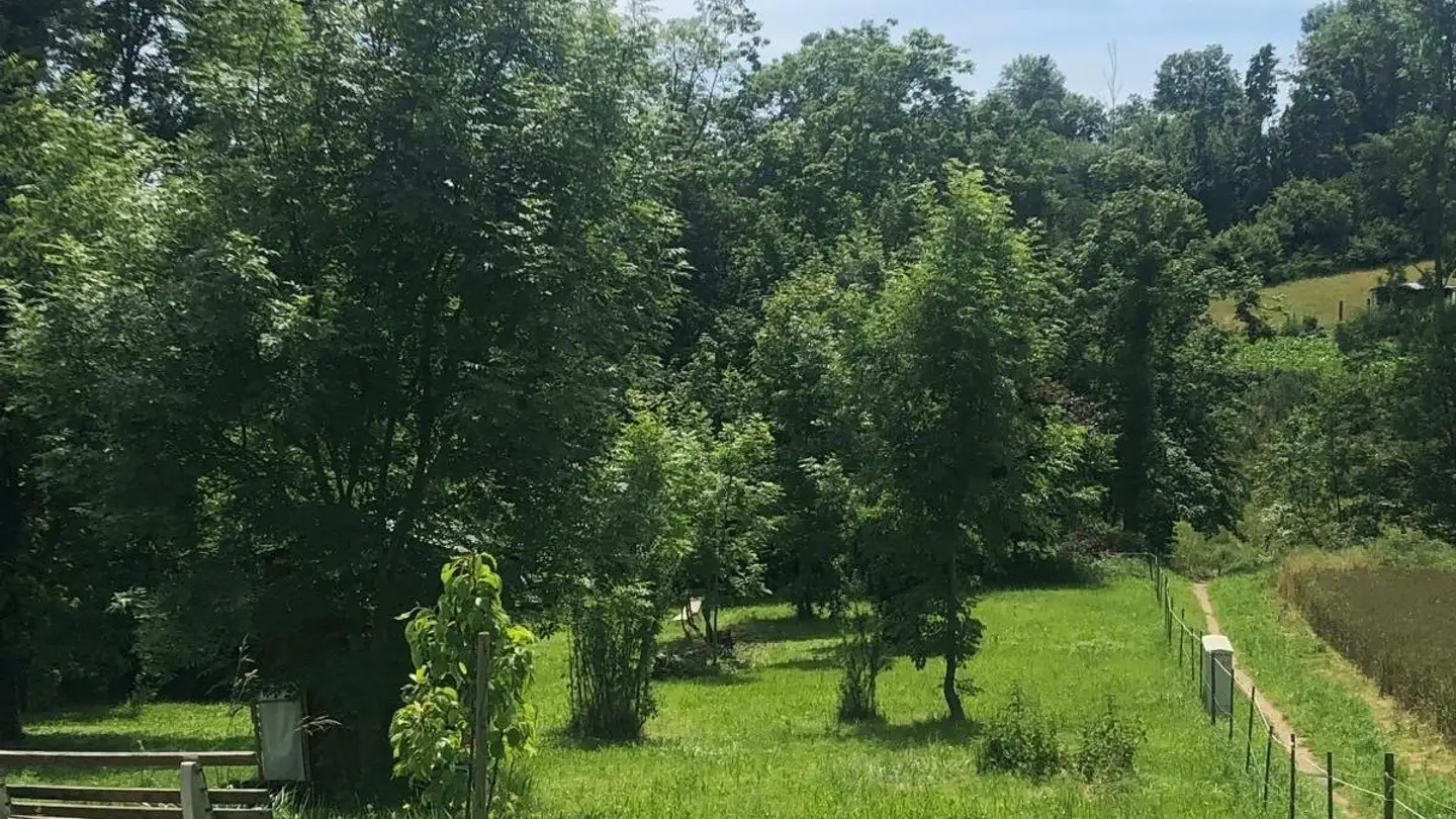 Studio mieten - Schönenbuchstrasse 41, 4123 Allschwil - Foto 4