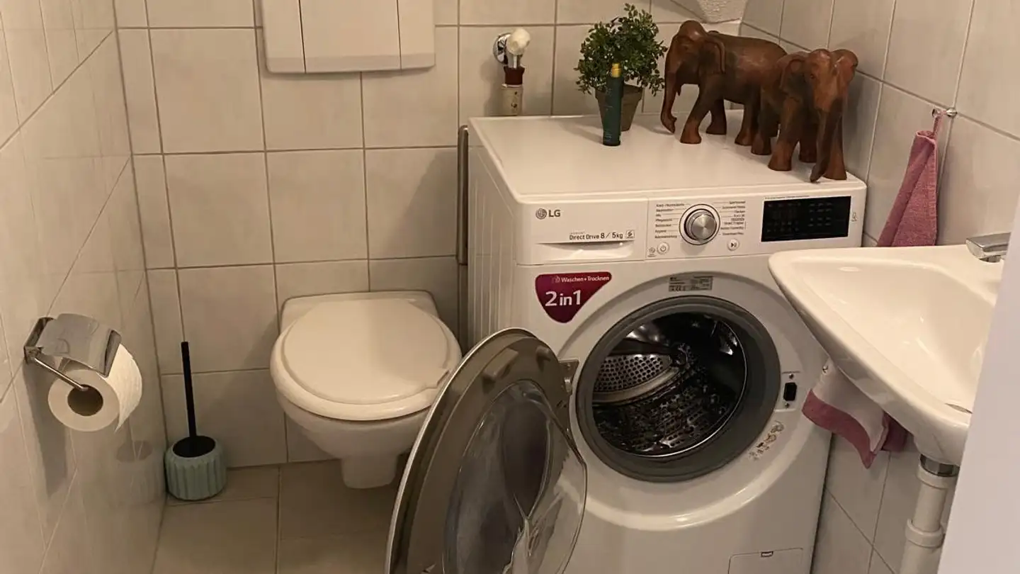 Wohnung mieten - Bahnhofstrasse 22, 9322 Egnach - Foto 3