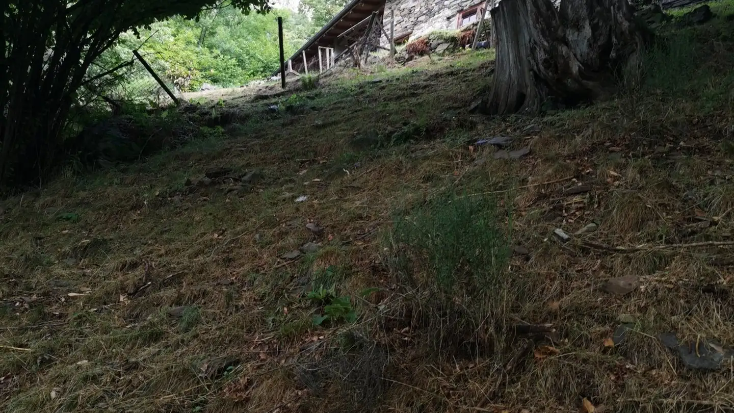 Single house for sale - 6571 Indemini - Photo 4