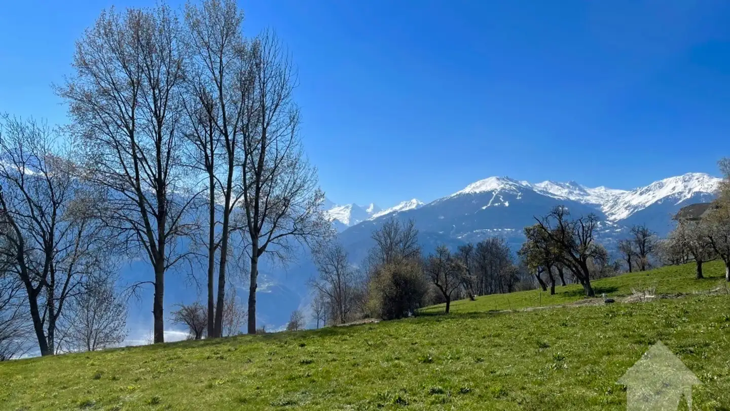 Bauland kaufen - 3975 Randogne