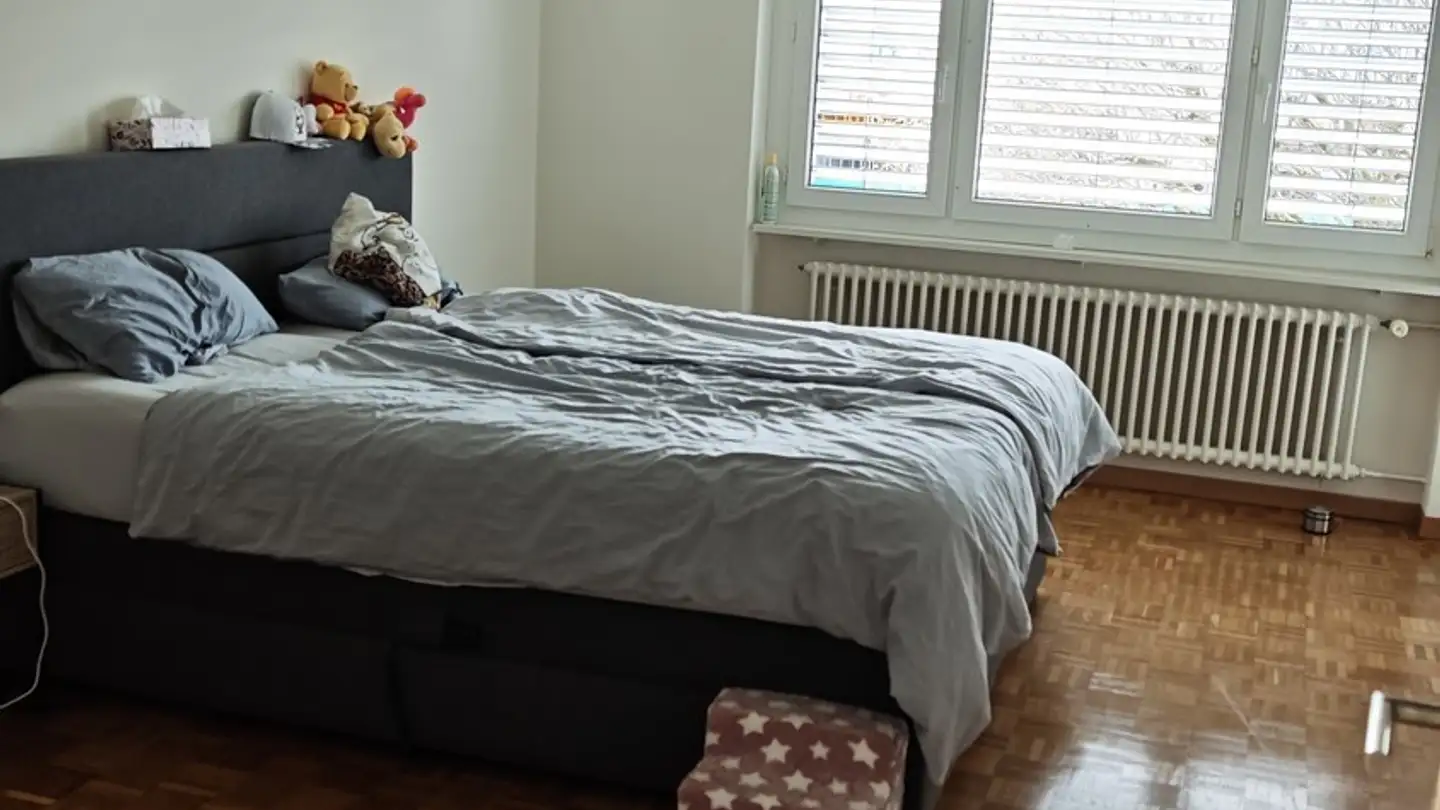 Appartamento in affitto - Luzernerstrasse 9, 6030 Ebikon