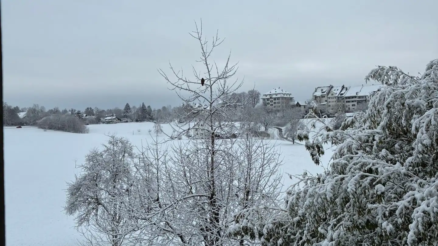 Chambre à louer - Büelstrasse 3, 8627 Grüningen - Photo 2