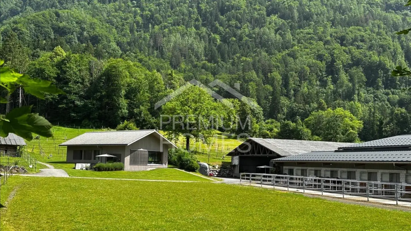 Einfamilienhaus kaufen - 3856 Brienzwiler