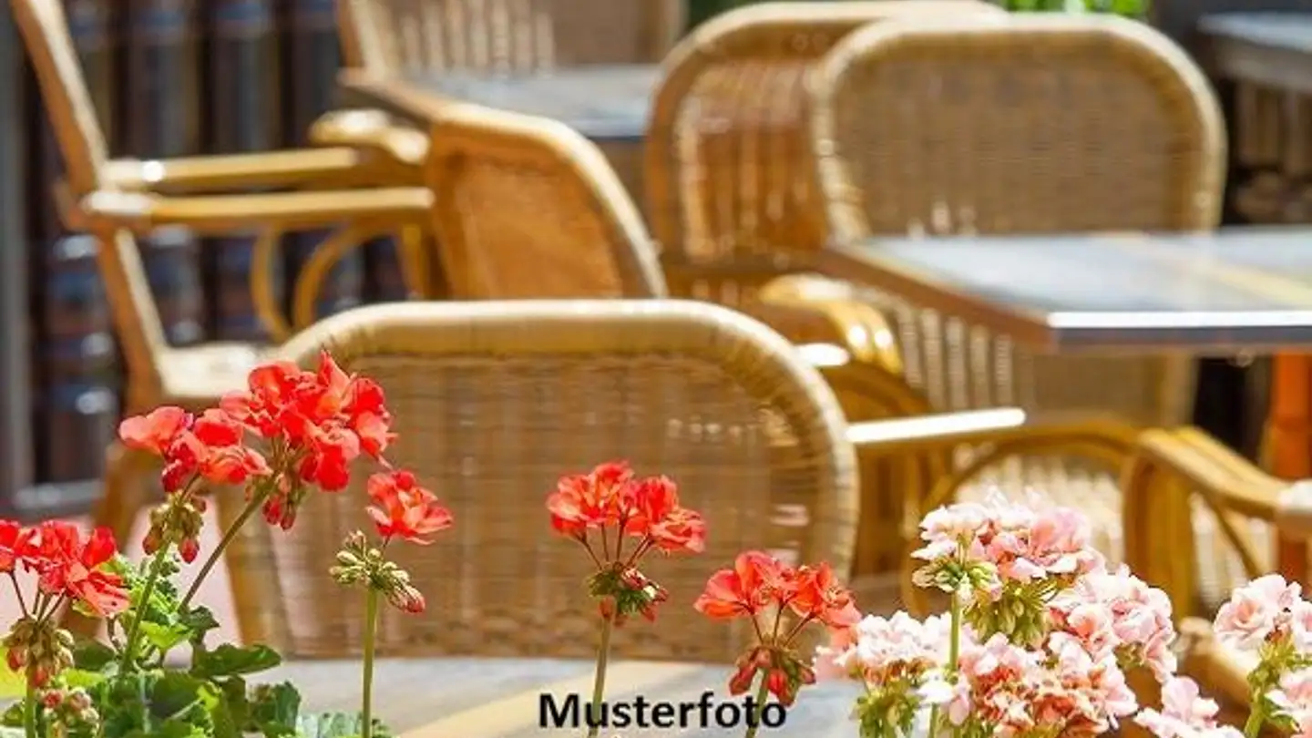 Restaurant for sale - La Lüvèira, 6673 Maggia