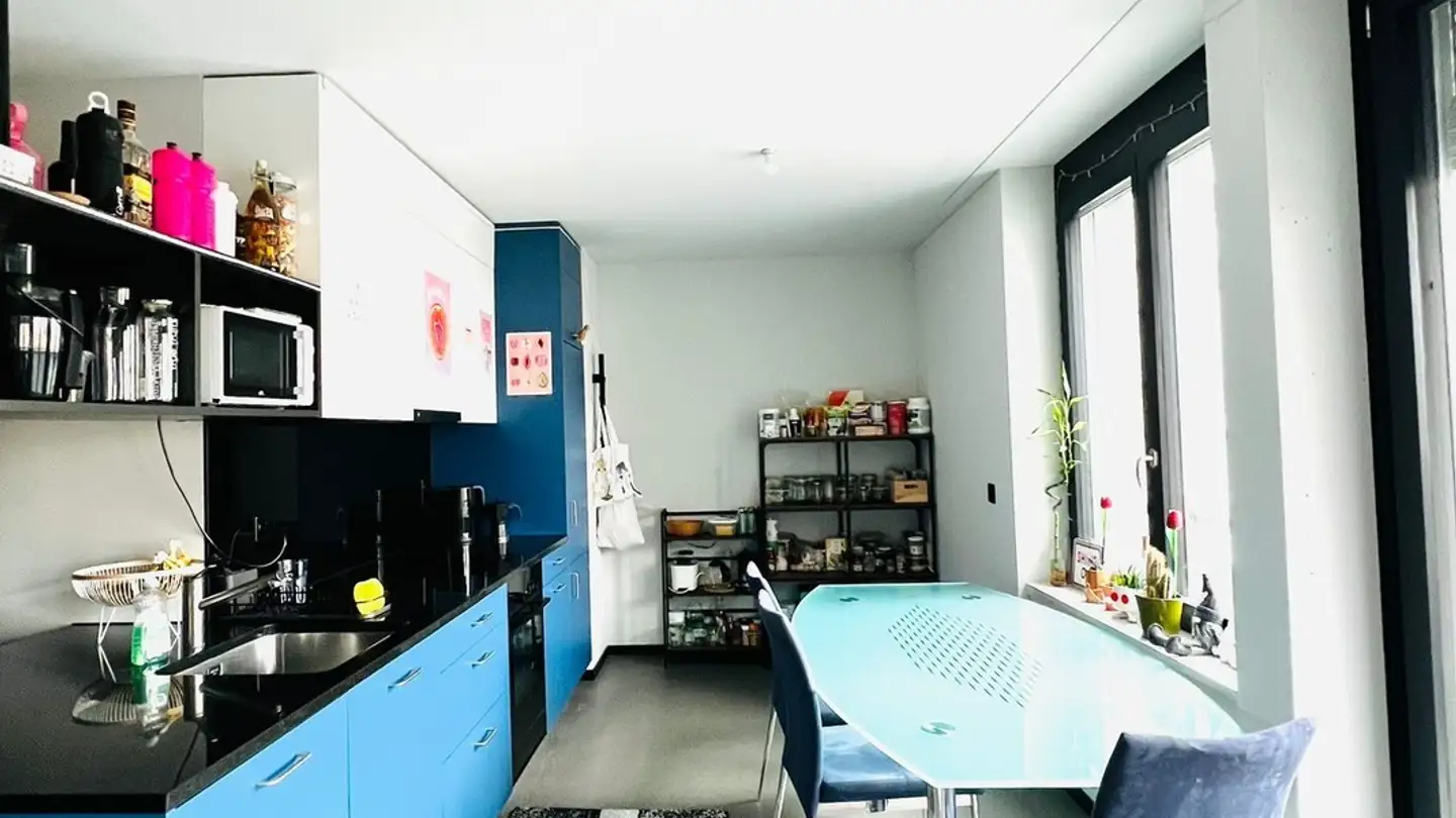 Appartamento in affitto - Freilagerstrasse 11a, 8047 Zürich