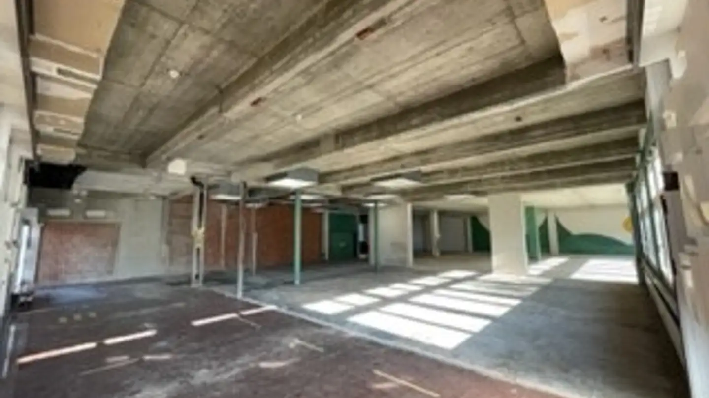 Grand magasin à louer - Baslerstrasse 103, 4123 Allschwil - Photo 3