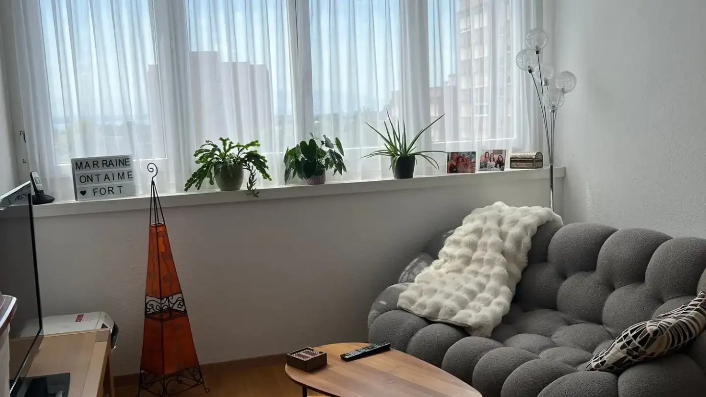 Appartamento in affitto - Quartier De La Levratte 30, 1260 Nyon - Foto 3
