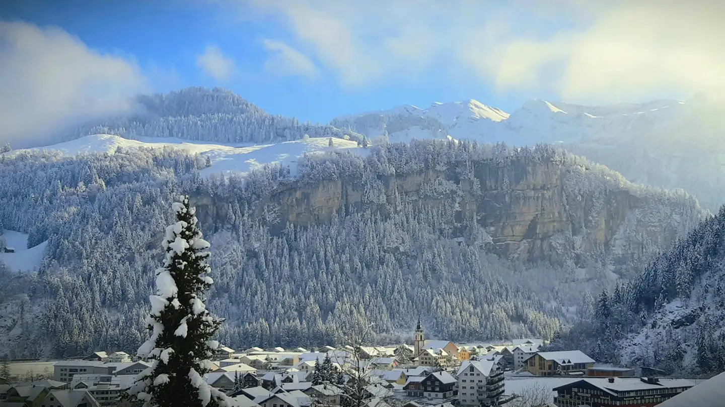 Penthouse for sale - Paradiesli 4, 8842 Unteriberg