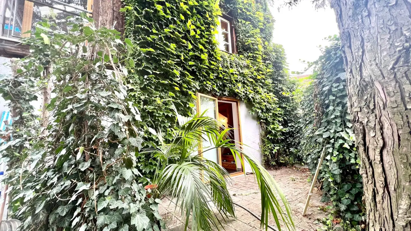 Single house for rent - Baslerstrasse 90, 4123 Allschwil - Photo 3