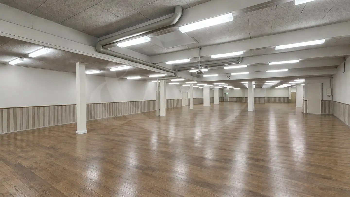 Commercial for sale - 1227 Carouge GE