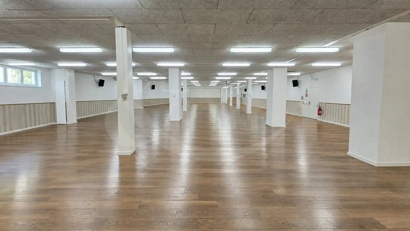 Commercial for sale - 1227 Carouge GE - Photo 3