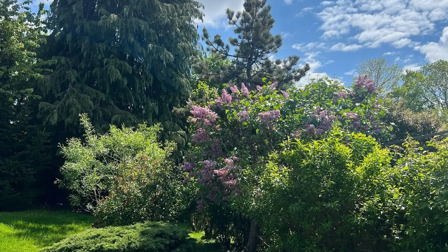 Duplex in affitto - Route De Rombuet 8, 1616 Attalens - Foto 4