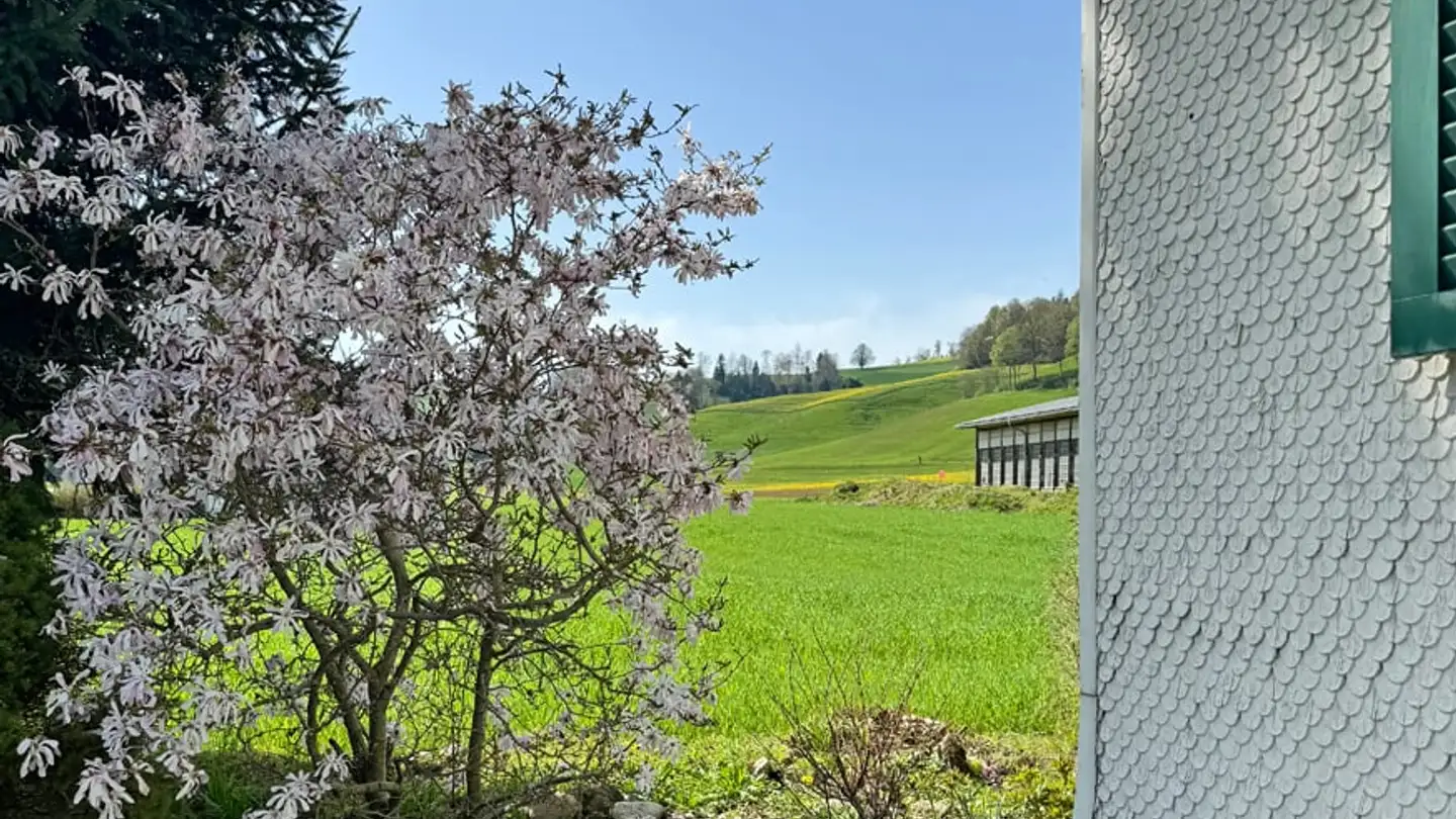 Maison individuelle à vendre - Breiten 36a, 4937 Ursenbach - Photo 2