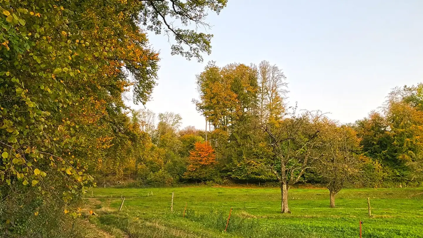 Duplex in vendita - 1033 Cheseaux-sur-Lausanne - Photo 4