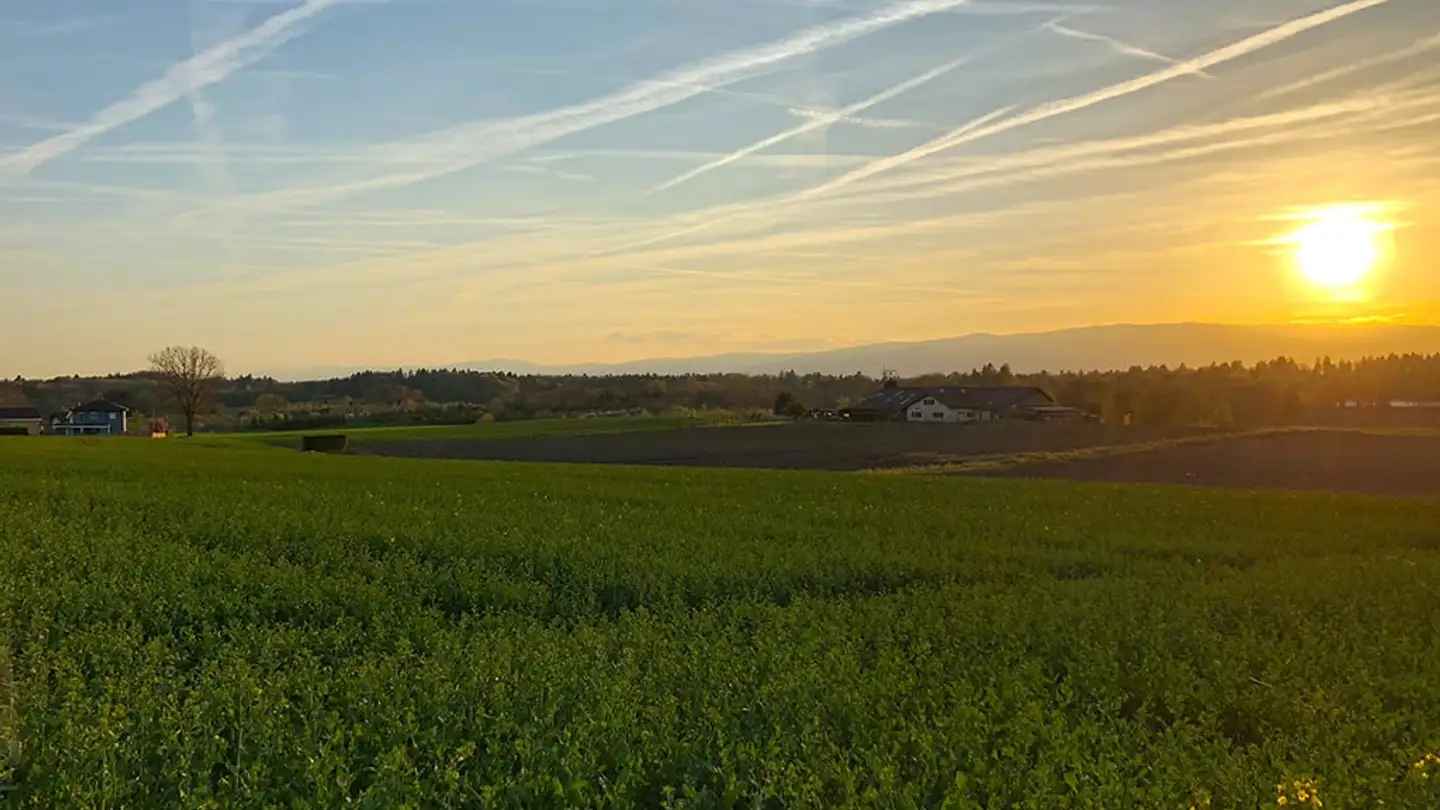 Duplex in vendita - 1033 Cheseaux-sur-Lausanne