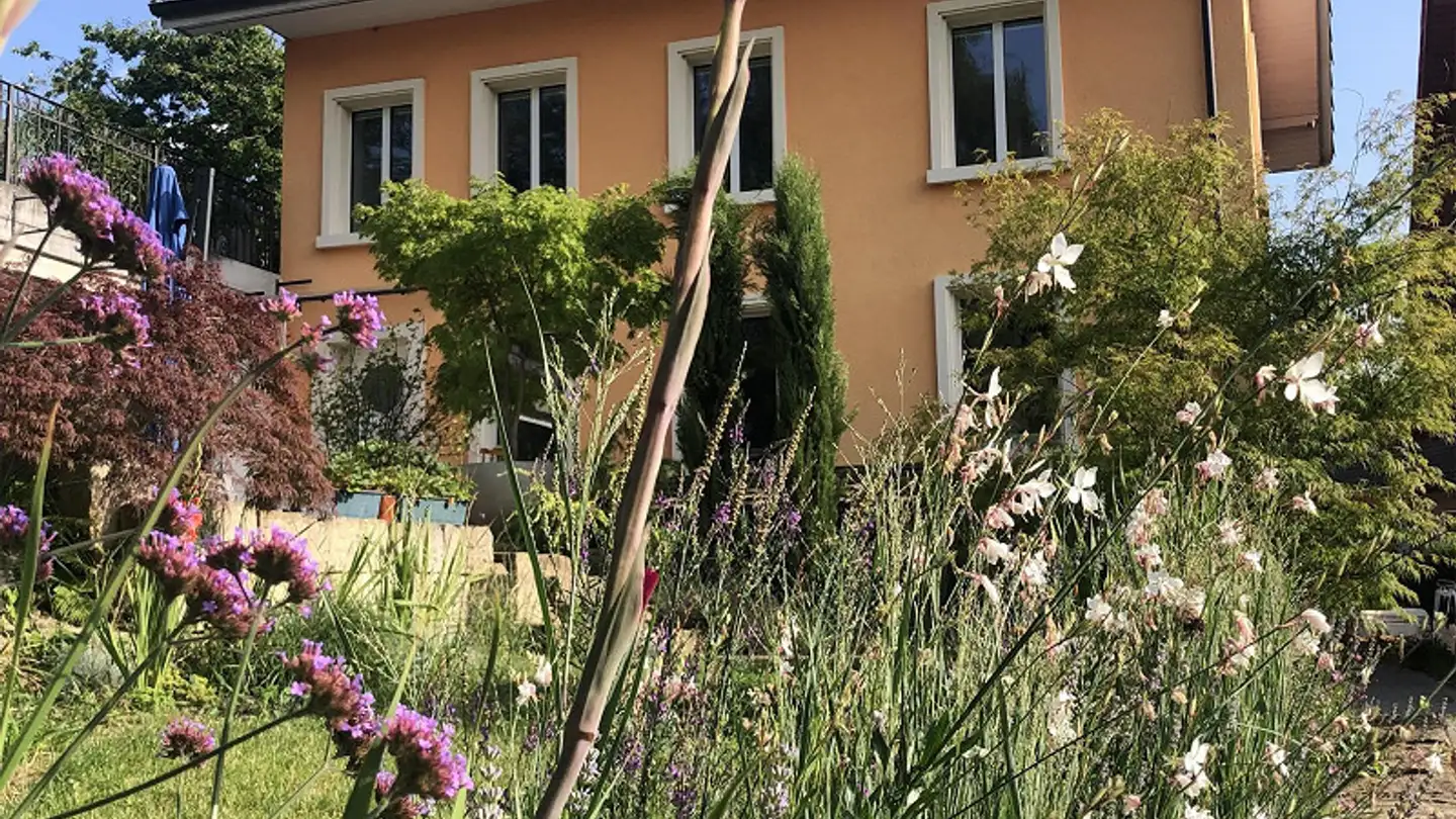 Wohnung mieten - Sandbühlstrasse 17, 5613 Hilfikon