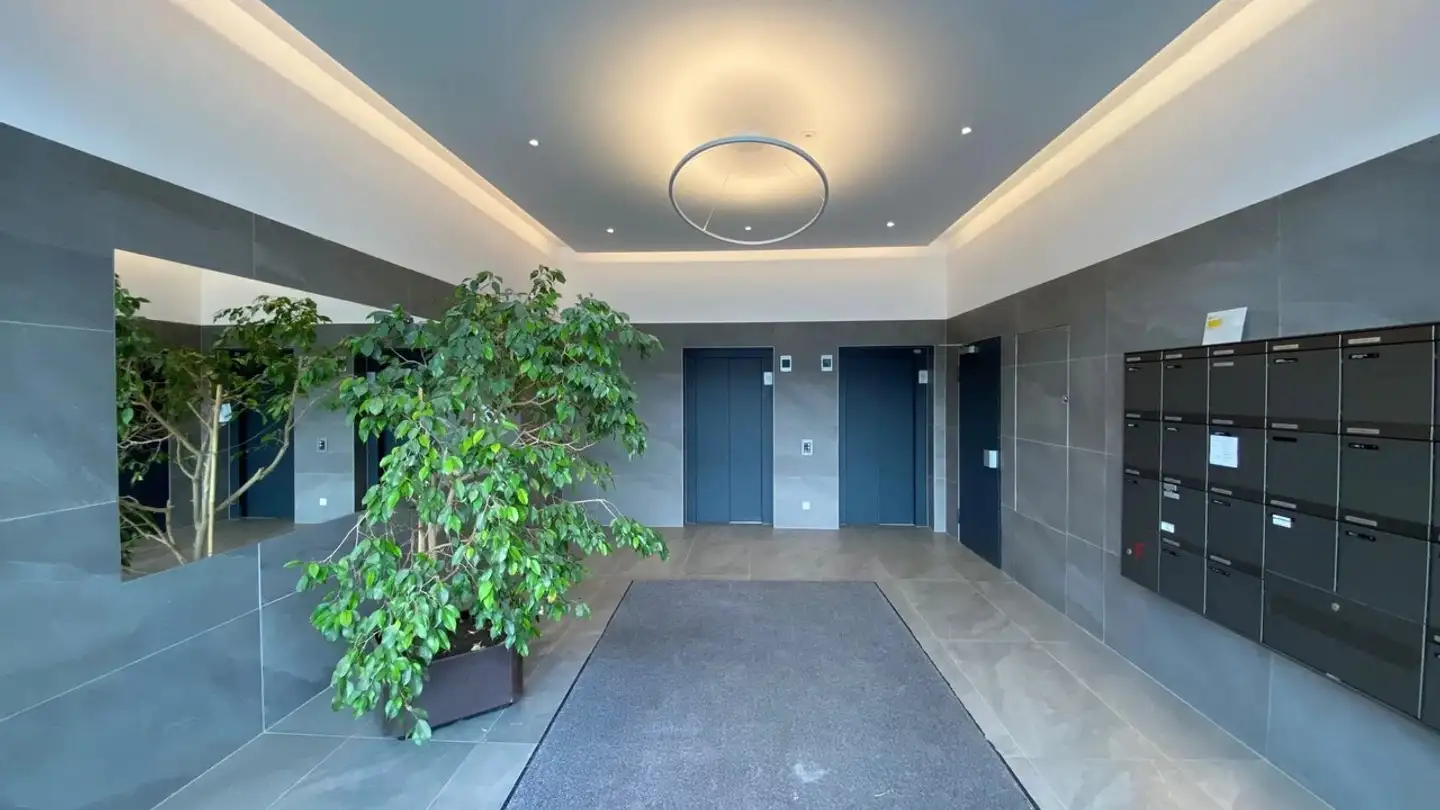 Commerciale in affitto - Rue Baylon, 1227 Carouge GE - Photo 3