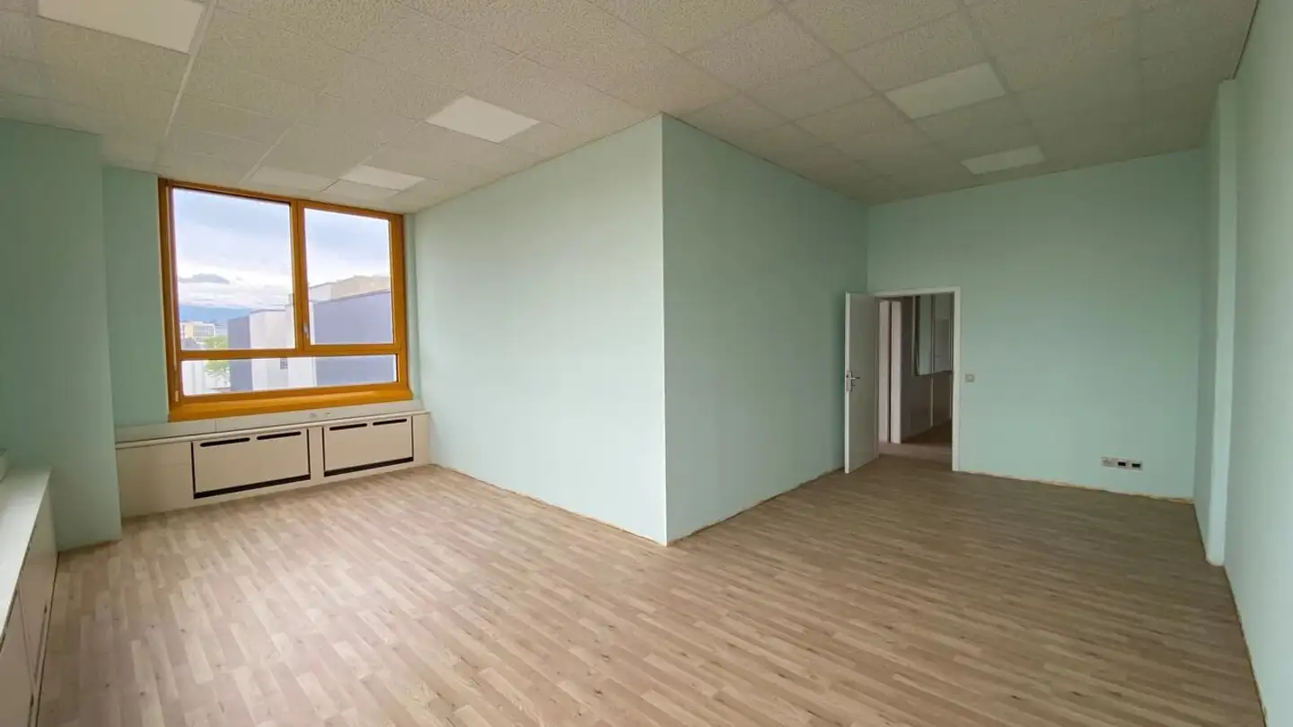 Commerciale in affitto - Rue Baylon, 1227 Carouge GE - Photo 4