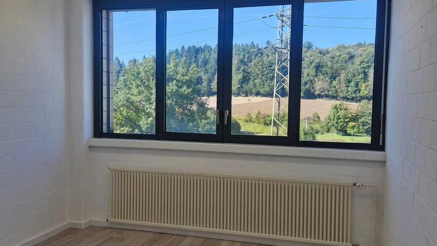 Spazio ufficio in affitto - Unterdorfstrasse 4, 5212 Hausen AG - Photo 4
