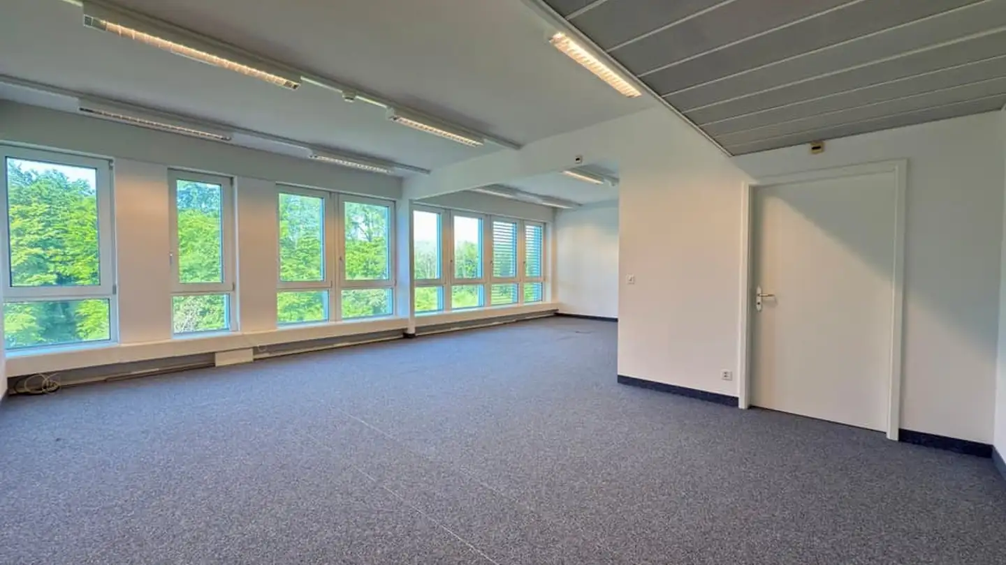 Commercial for rent - Route Du Petit-Moncor 1a, 1752 Villars-sur-Glâne - Photo 2