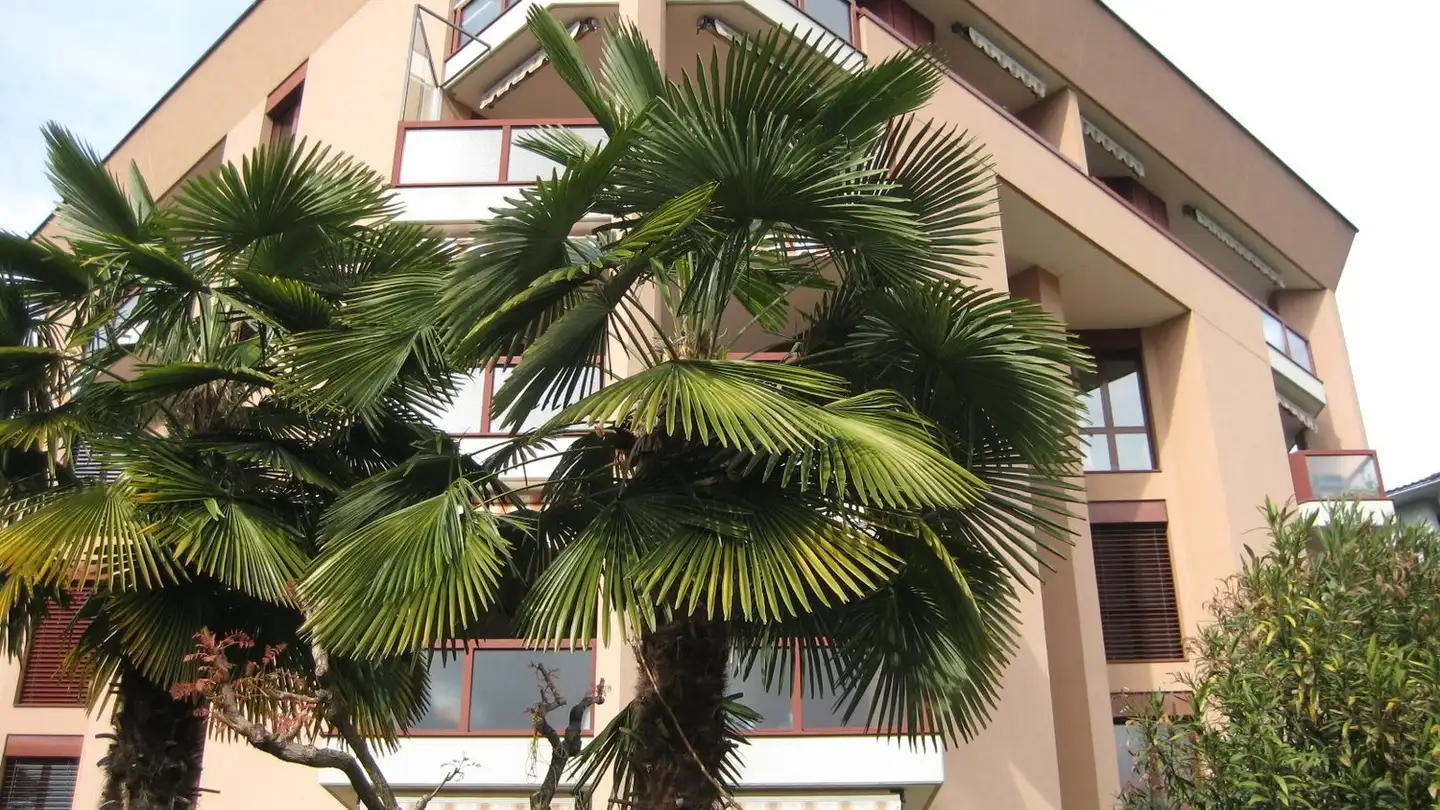 Appartamento in affitto - Via Giuseppe Motta 16, 6648 Minusio