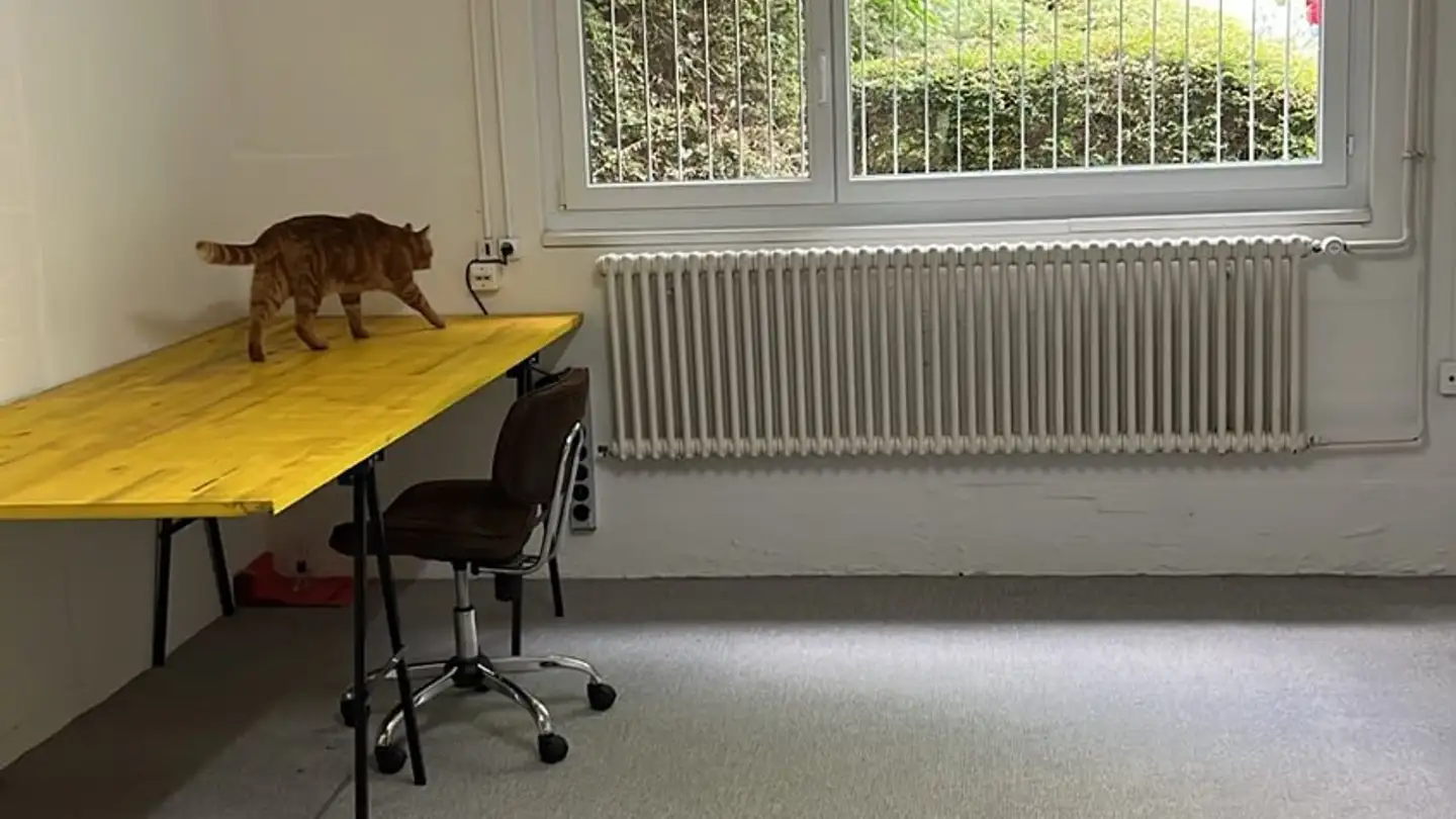 Hobbyraum mieten - Lohzelgstrasse 13, 8118 Pfaffhausen