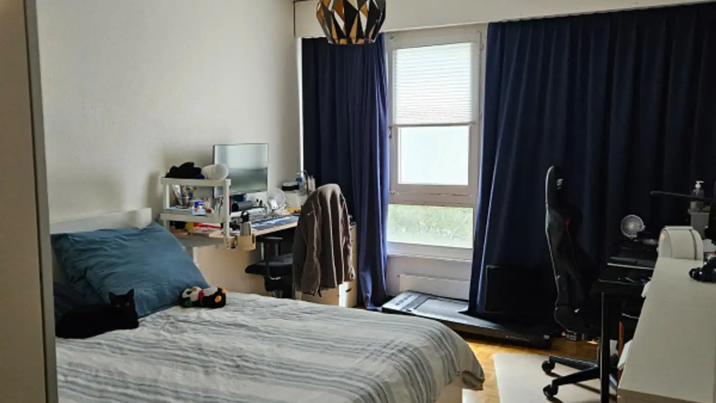Wohnung mieten - Rue Daubin 39, 1203 Genève - Foto 4