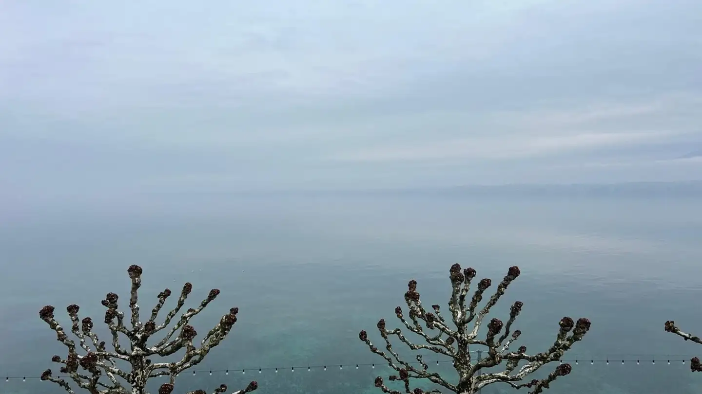 Apartment for rent - Quai De Versoix 11, 1290 Versoix - Photo 3