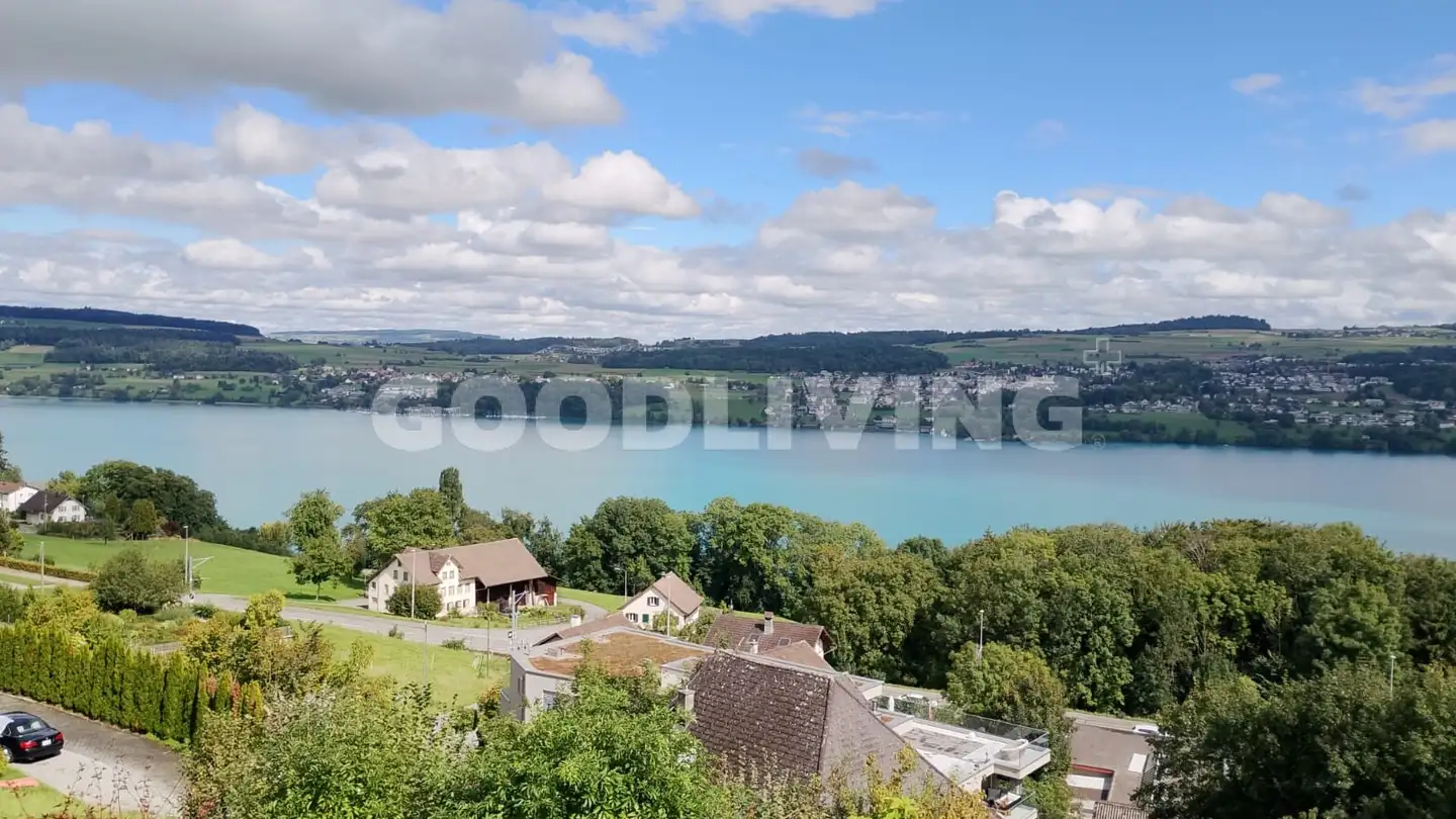 Villa à vendre - 5708 Birrwil