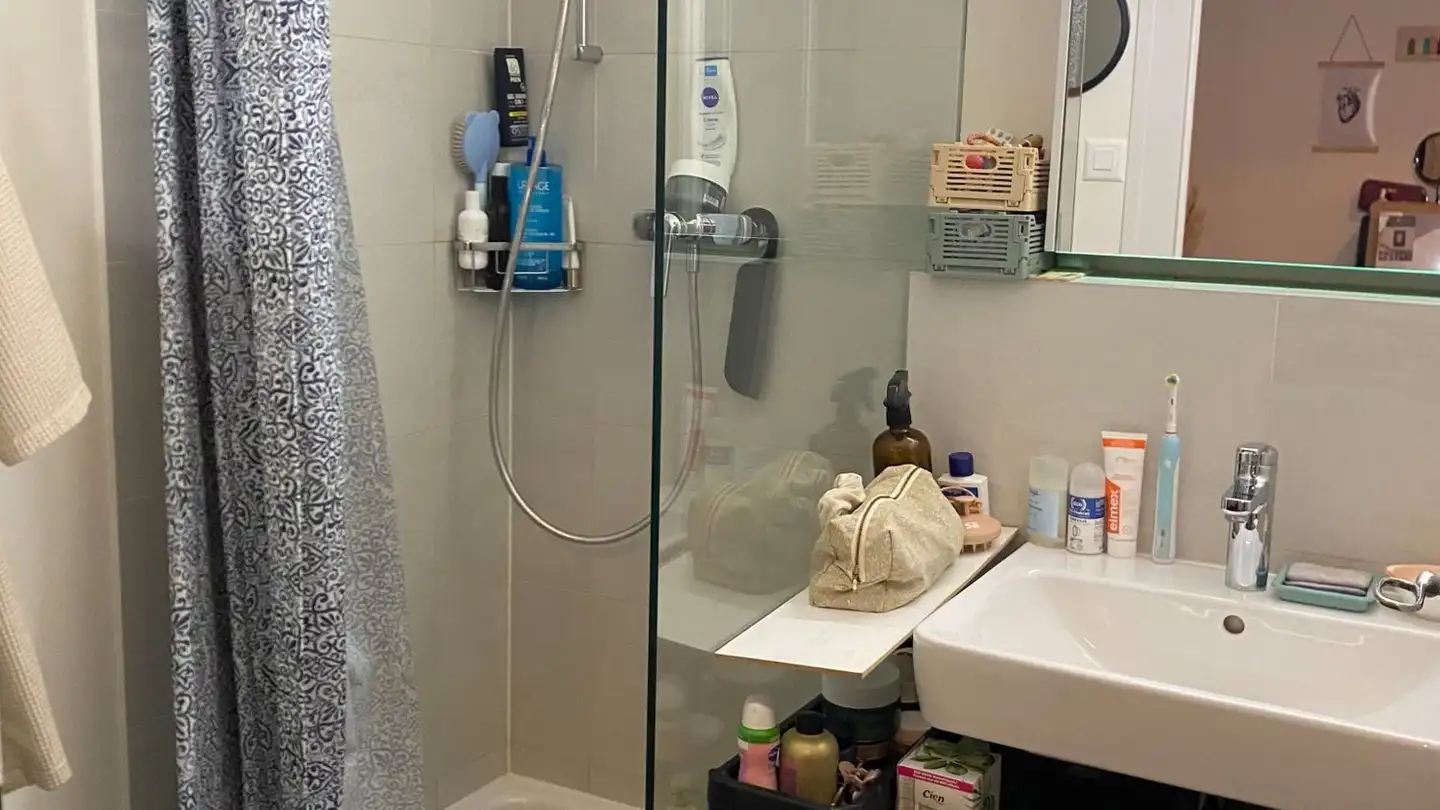 Appartamento in affitto - Rue De Carouge 87, 1205 Genève - Foto 4