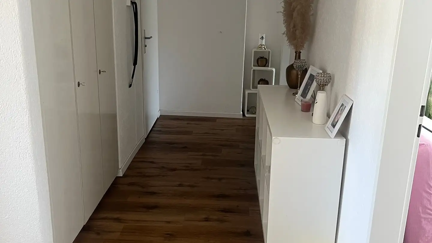 Appartement à louer - Seebestrass 7, 8460 Marthalen