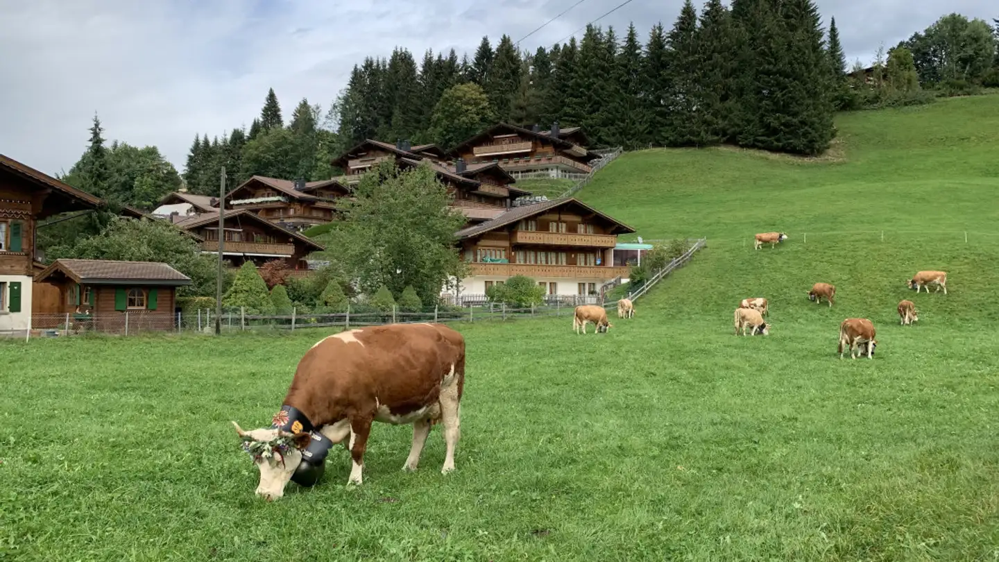 Appartement à vendre - 3780 Gstaad