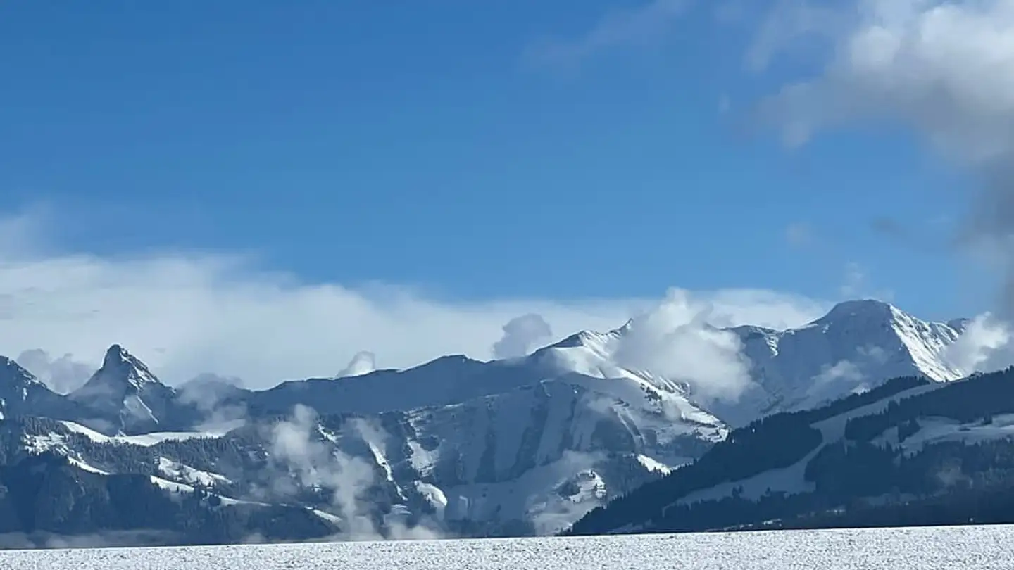 Single house for sale - 1697 La Joux FR - Photo 3