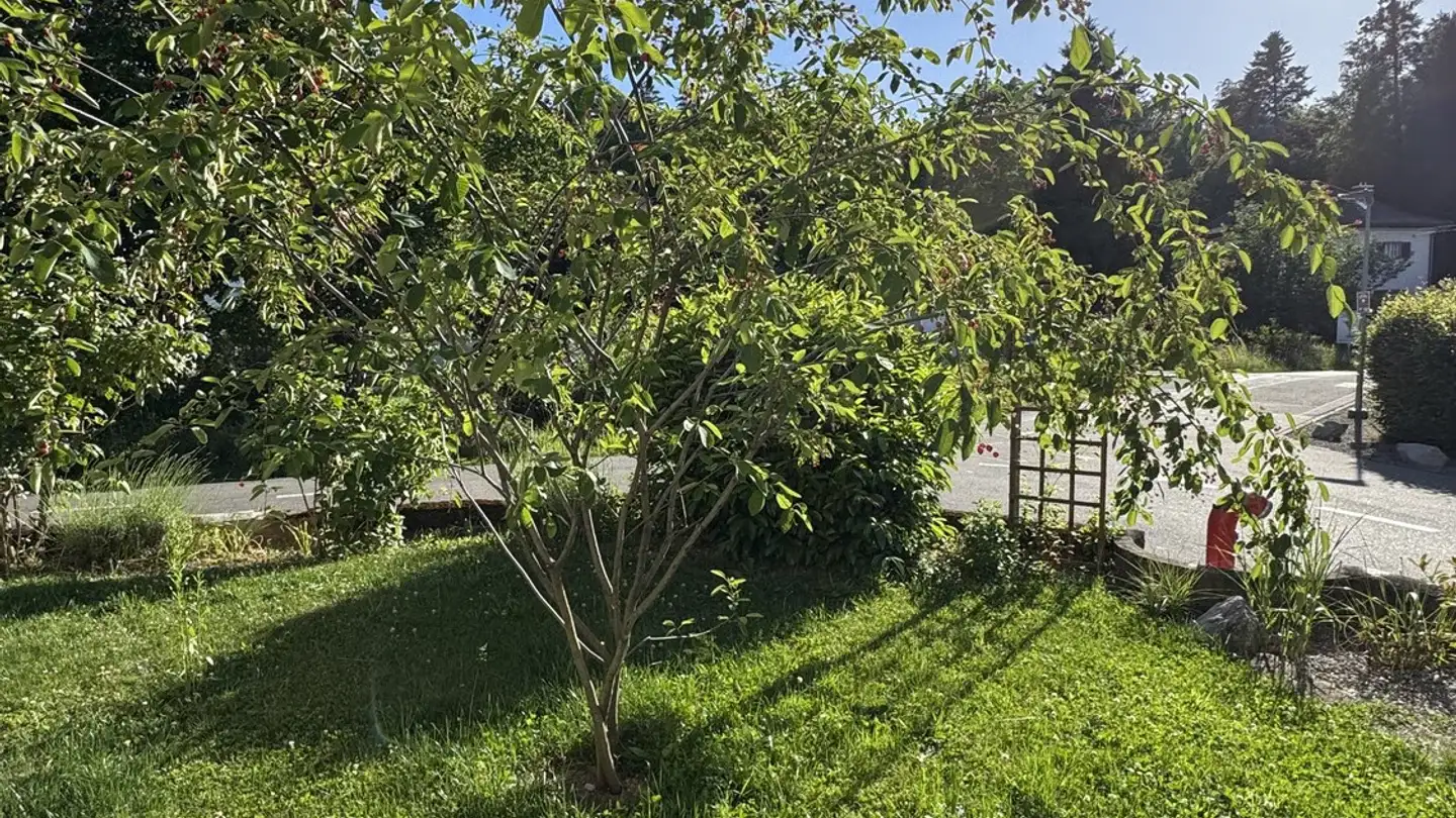 Apartment for rent - 5034 Suhr - Photo 2