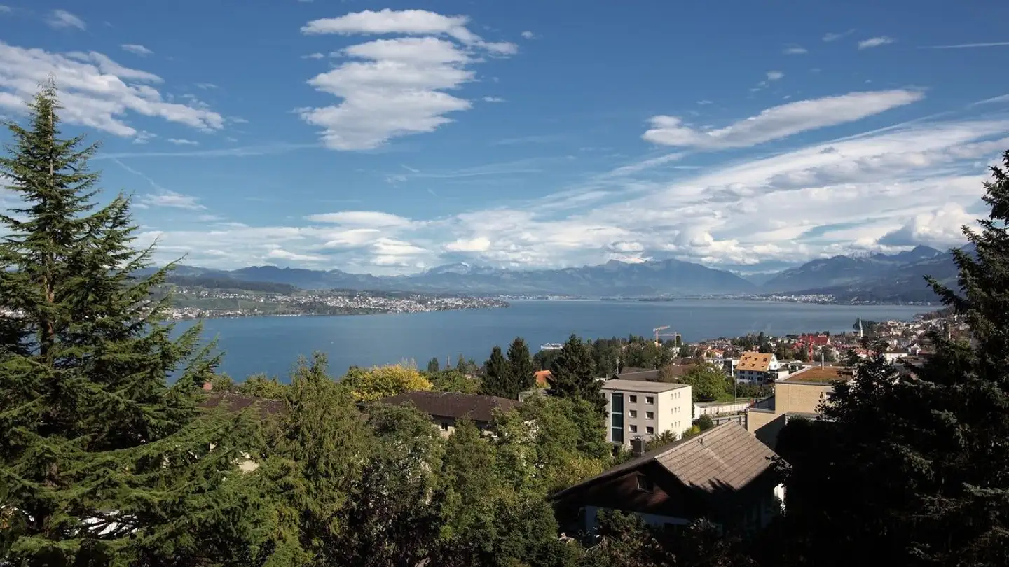 Maison jumelle à vendre - Holzmoosrütistrasse 43, 8820 Wädenswil - Photo 2