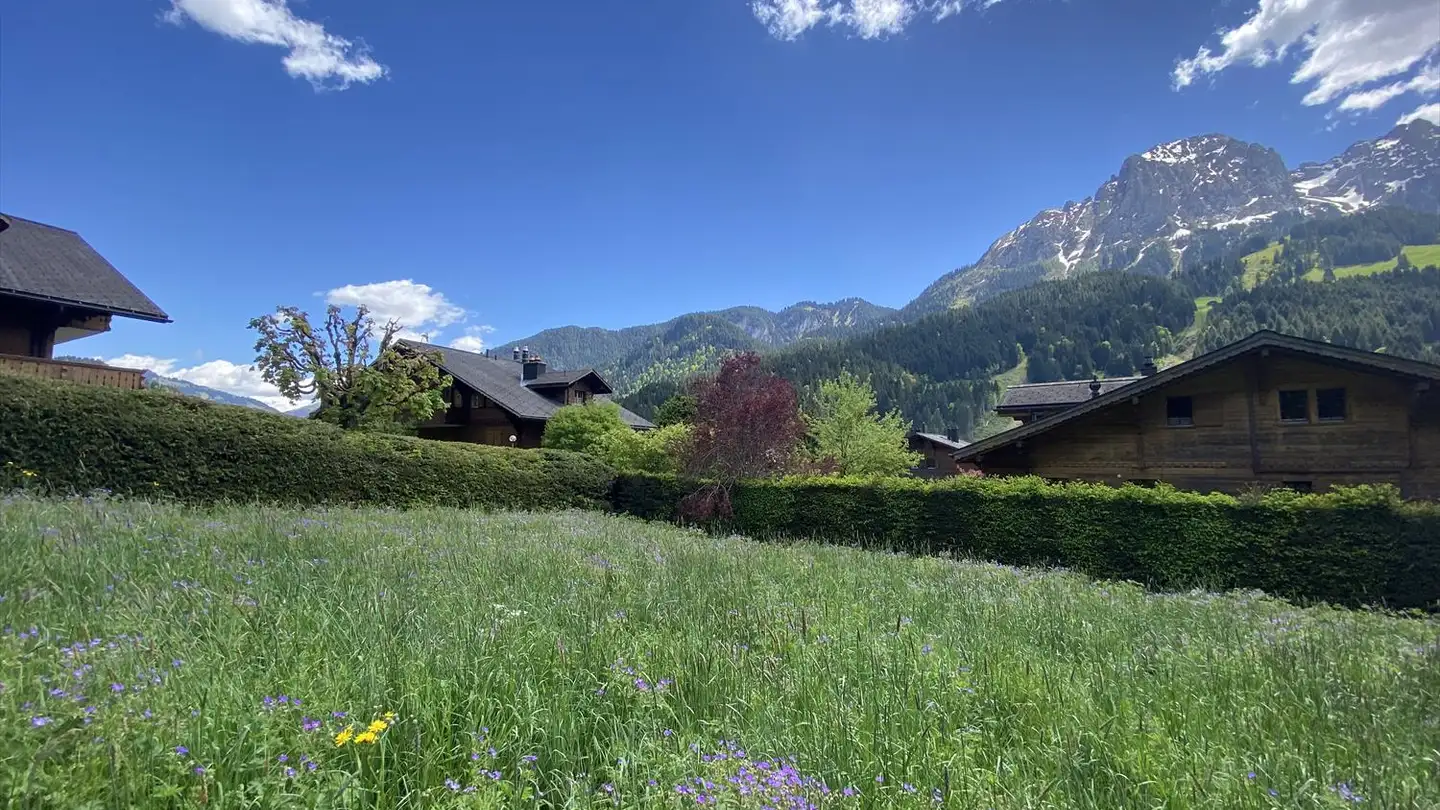 Constructible plot for sale - Chemin Des Chanterelles, 1659 Rougemont - Photo 2