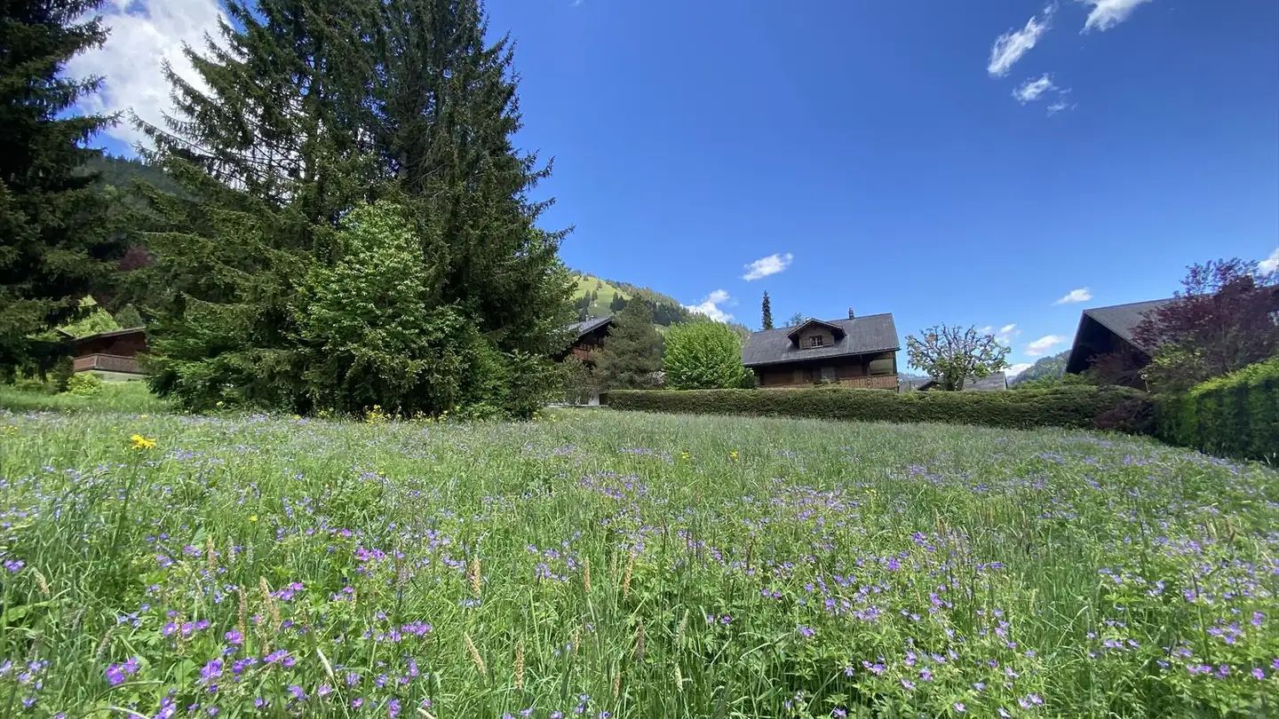 Constructible plot for sale - Chemin Des Chanterelles, 1659 Rougemont - Photo 4